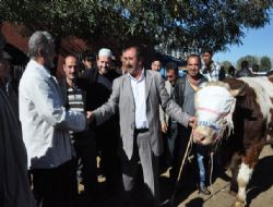 Kurban piyasası hareketlendi