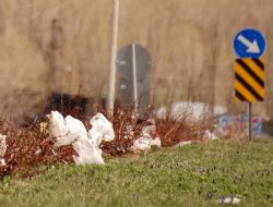 Bu kirlilik Erzurum'a yakışmıyor
