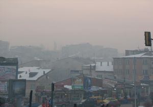 Erzurum'da kaliteli kömür satışı başladı