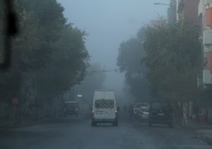 Kars - Erzurum Karayolunda sis engeli