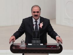 Aksak, TBMM'de DAP'ı anlattı