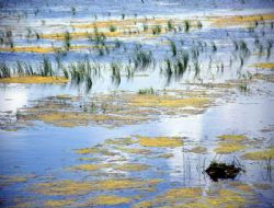 Doğu'da Ramsar atılımı