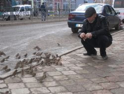 Merhametin sınırı yok