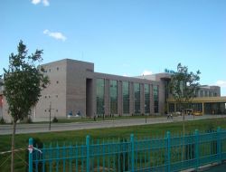 Pencereden bakarken aşağıya düştü