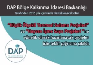 DAP'ta proje süreci