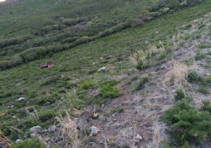 Pasinler'de trafik kazası: 1 ölü 5 yaralı