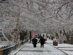 Erzurum rengini buldu