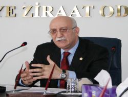 Organik tarımda potansiyel Doğu'da 
