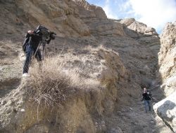 Seyyah Narman'daydı