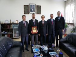 SGK'dan pirim ödülü