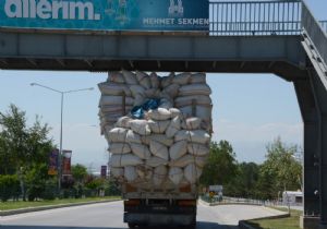 Saman yüklü trafik canavarı