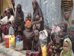 Afrika'nın Sessiz Feryadı*