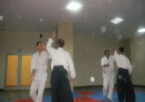 Erzurum aikido ile tanıştı