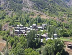 Erzurum süt üretiminde 4'üncü sırada