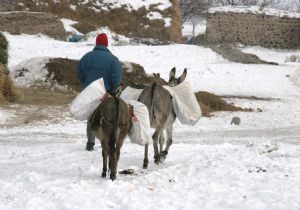 Soğuk rekoru Erzurum'daydı