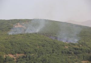 Tatvan'da hava destekli operasyon 