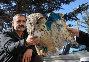 Tedavisi Erzurum'da yapılacak