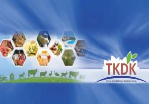TKDK destekleriyle rekor istihdam