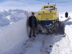 Tekman'da kar seferberliği