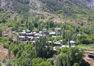 Erzurum'da tarım öncelikli sektör ama...!