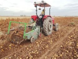 Ülkede 43, Doğu'da 3'üncüyüz