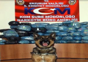 Uyuşturucu taciri tutuklandı