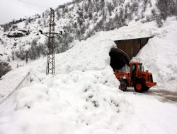 Tunceli-Erzincan yoluna çığ düştü 