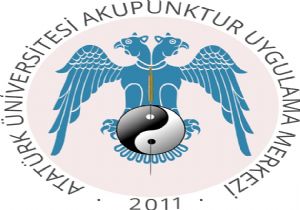 8. Ulusal Akapuntur Kongresi Erzurum'da yapılacak