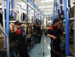 Veterinerlikten eğitim atağı
