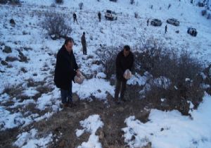Yaban hayvanları için yemleme kampanyası