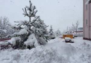 Yedisu'da kar esareti