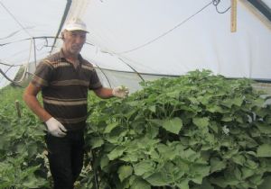 Erzurum'da istenilirse neler yapılmıyor ki..