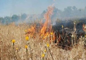 Çatören'de yangın