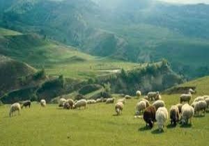 ‘Yaylacılık, milli kültürümüz'