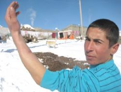 Çatalören'de köpek kabusu