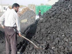 Çevrecilerden ucuz kömür uyarısı