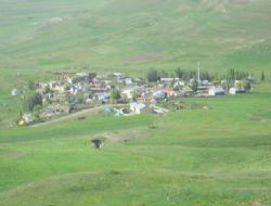 Şeyhyusuf'ta silahlı kavga